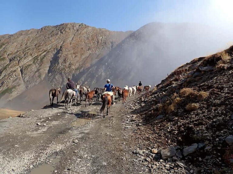 Vashlovani Nature Reserve: Horse Riding Tour - Frequently Asked Questions