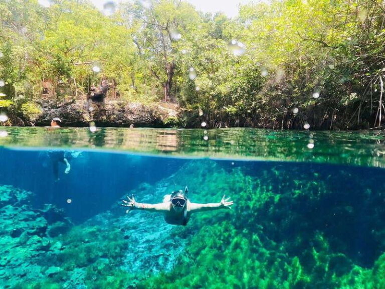 VIP 3 Cenotes Private Tour - A Closer Look at the VIP 3 Cenotes Private Tour
