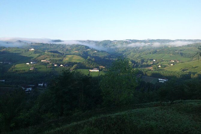 Visit among vineyards and wine cellar with wine tasting in Nizza Monferrato - Who Will Love This Tour?
