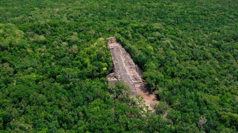 Visit the Mayan Ruins of Coba, swim in Cenote and traditional food. - An In-Depth Look at the Coba & Cenote Tour