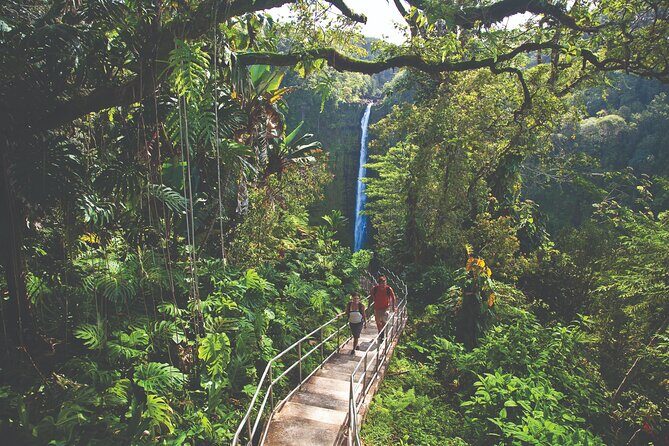 Volcano Adventure: Hilo Sightseeing w/ Optional Helicopter Tour - The Guide and Group Dynamics