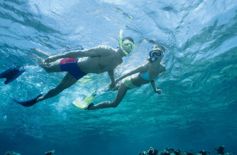 Waikiki Turtle Snorkel Adventure - Final Thoughts: Is It Worth It?