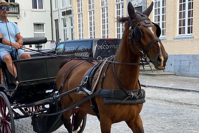 Walking Tour Bruges: Exciting Stories, Mysteries, People - The Guide Experience