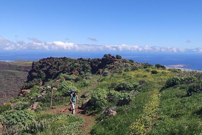 Wanderungen im grünen Gran Canaria - What the Tour Includes and How It Works