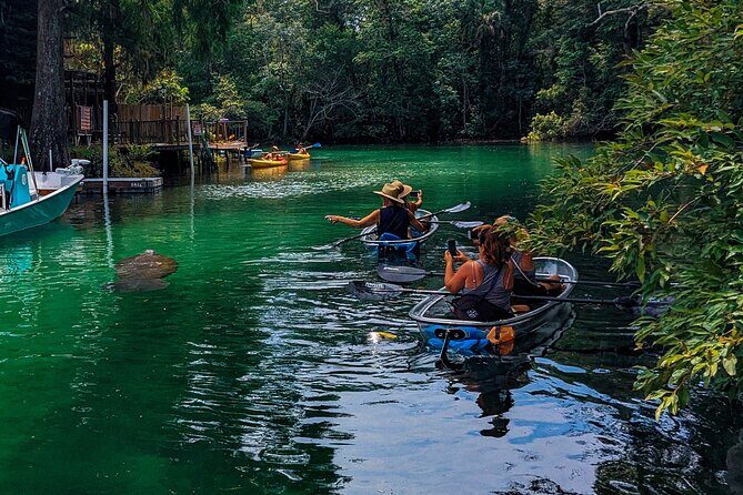 Weeki Wachee Clear Kayak Ecotours Manatee Season - November 14th-March 31st - Who Is This Tour Best For?