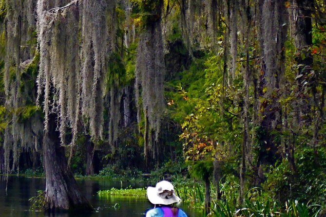 Wekiva River Guided Kayak Tour - Practical Tips for Your Kayak Adventure