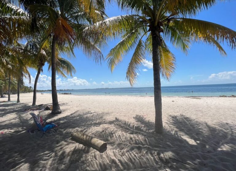 West Palm Beach: Beginner Scuba Diving Adventure with Videos - The Value of the Experience