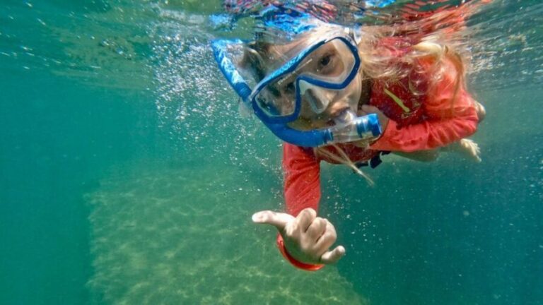 West Palm Beach: Beginner Snorkel Tour with Turtles & Videos - What to Expect from the Snorkel Tour