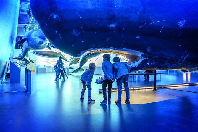 Whales Of Iceland Admission Ticket - The Slight Drawbacks