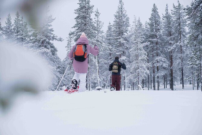Wilderness snowshoe adventure - The Itinerary in Detail