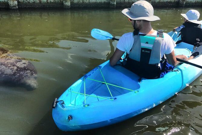 Wildlife Refuge Manatee, Dolphin & Mangrove Kayak or Paddleboarding Tour! - The Value of the Experience