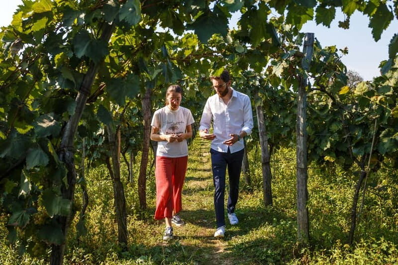Wine & Dine group tour from Kutaisi - An In-Depth Look at the Tour Experience