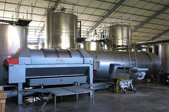 Wine tasting and winery tour at Fikardos Winery - Who Will Love This Experience?