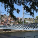 Wine Tasting with Tapas Walking Tour in Porto - The Practical Side: Group Size, Duration & Cost