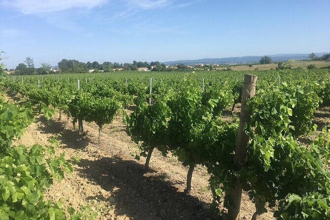 Winery Tour & Wine Tasting - Deli Plate & 3 Wines - Why This Tour Works