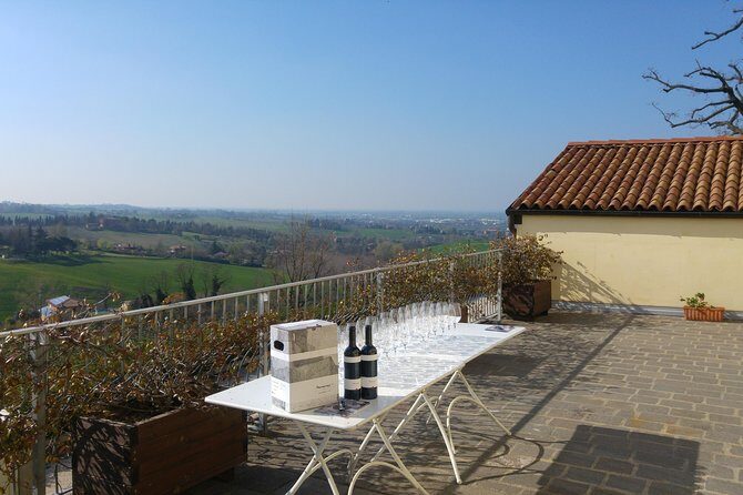 Winetour and tasting on Bologna hills, guided by the wine grower - Practical Details and Booking Experience
