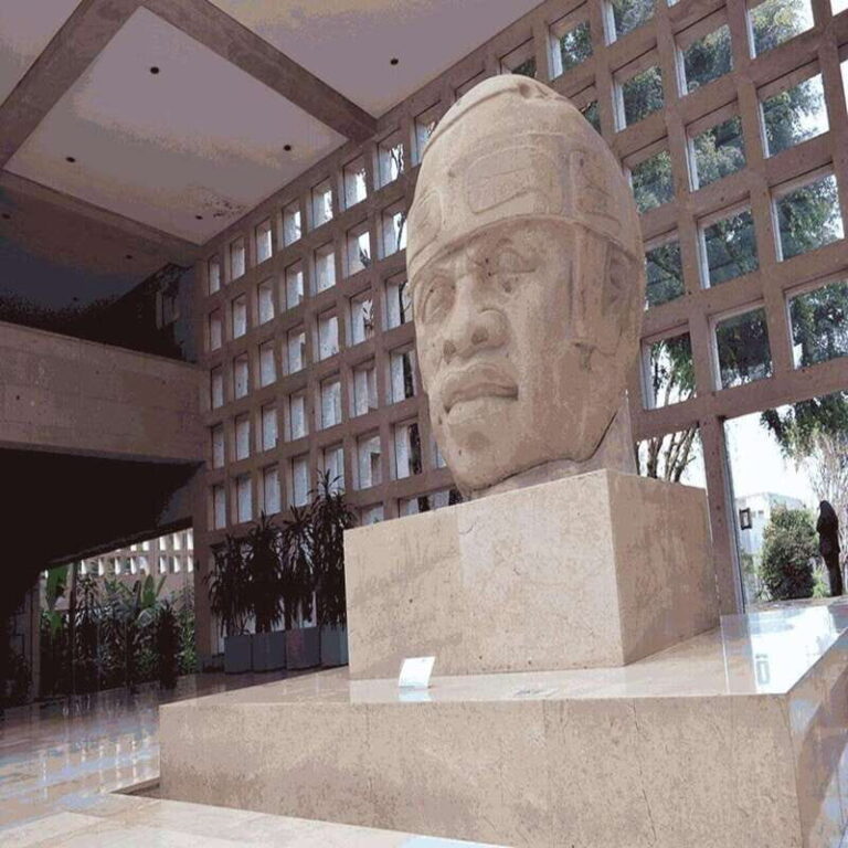 Xalapa: Explore its cultural and natural wonders - What’s Included and What to Consider