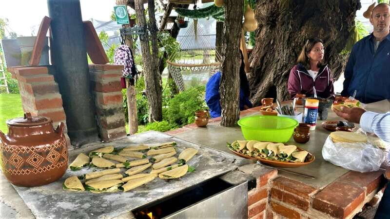 Xochimilco Day Trip: Farmland Food and Hop on a Trajinera - The Itinerary Breakdown