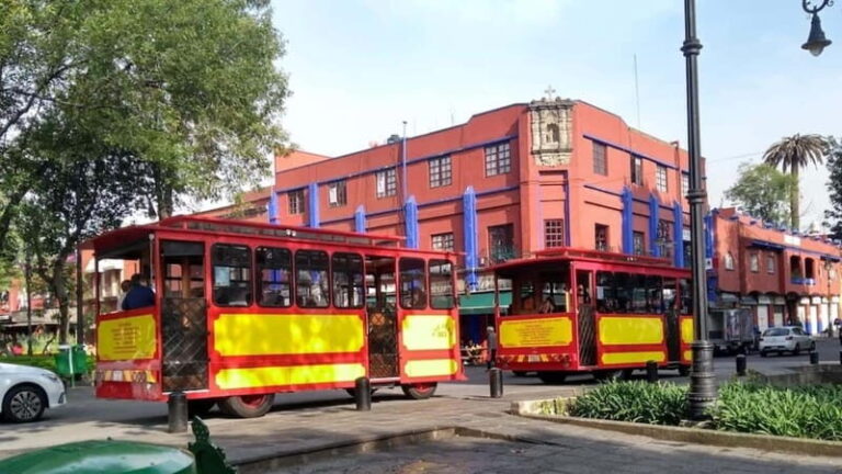 Xochimilco: Fiesta in Trajinera and Coyoacan Tour - Final Thoughts