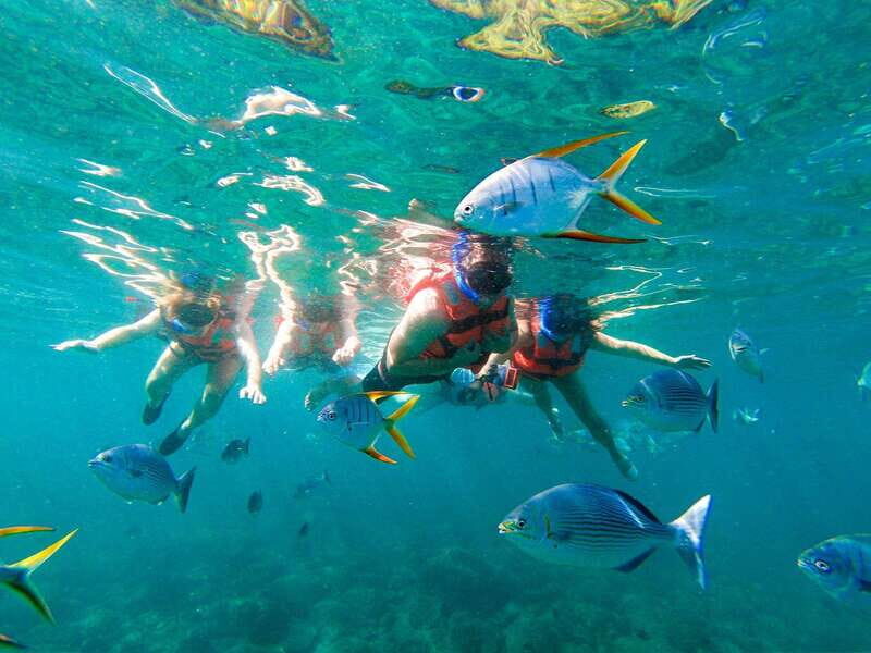 Yelapa Waterfall & Majahuitas Beach BBQ + Snorkel and Kayaks - Practical Details and Value
