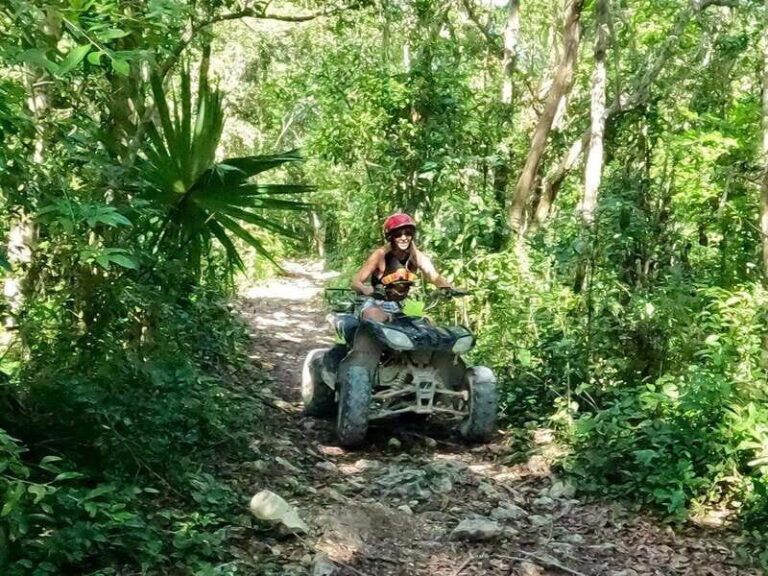 Yucatan: Cenotes and ATV Jungle Adventure - Exploring the Cenotes: The Heart of the Tour