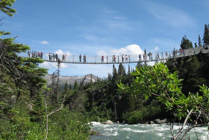 Yukon Suspension Bridge and Summit Tour - Scenic Drive and White Pass Summit