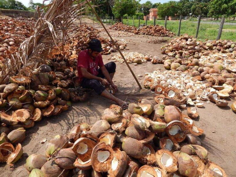 Zihuatanejo: Country Tour to Barra De Potosi - Enjoying Local Cuisine in a Picturesque Setting