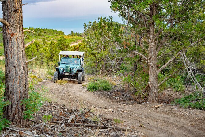 Zion Sunset Jeep Tour - Why Travelers Love This Tour