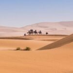 03 Days Marrakech To Merzouga - Day 2: Dades Gorges, Todgha Gorge, and Camel Trekking