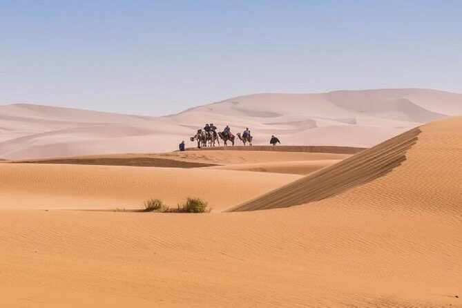 03 Days Marrakech To Merzouga - Day 2: Dades Gorges, Todgha Gorge, and Camel Trekking