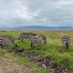 03 days Serengeti and Ngorongoro Crater group (camping) - FAQ