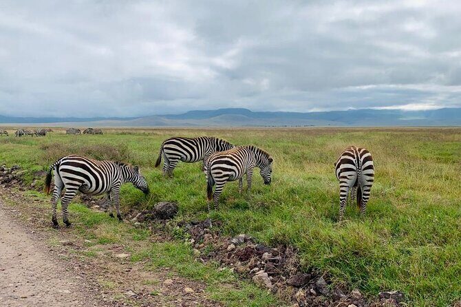 03 days Serengeti and Ngorongoro Crater group (camping) - FAQ