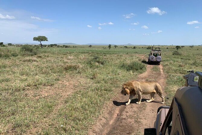 04 Days Tarangire, Serengeti and Ngorongoro crater group (Camping - Day Two: The Serengeti Adventure