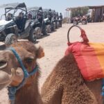 1/2-Day: Agafay Desert Buggy/Quad Bike From Marrakech - The Experiences Pace and Group Dynamics