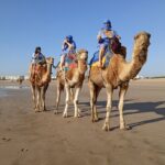 1/2 Day Camel Trekking in Essaouira with Meals - Stop 2: Dar Es-sultan (The White House)