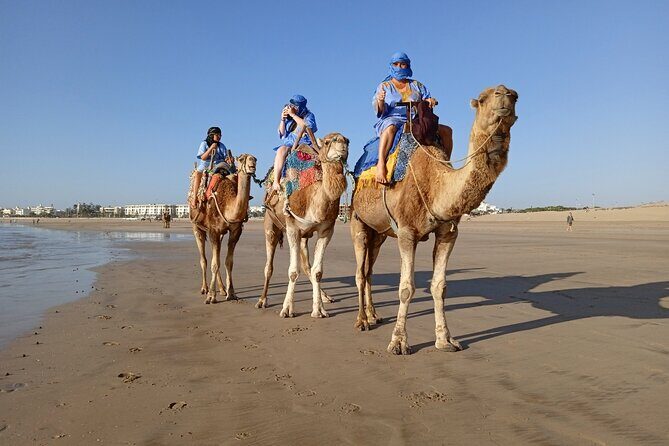 1/2 Day Camel Trekking in Essaouira with Meals - Stop 2: Dar Es-sultan (The White House)