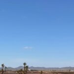 1/2 journée Quad Palmeraie Marrakech - Why It’s a Great Choice