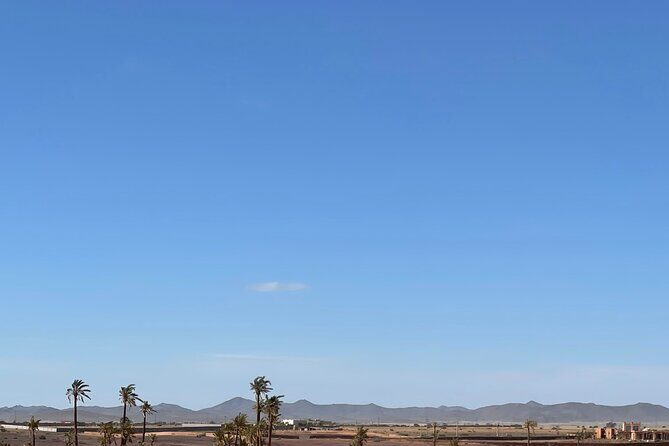 1/2 journée Quad Palmeraie Marrakech - Why It’s a Great Choice