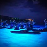 1.5-hour Clear Kayak Rental: Discover the Underwater World - Navigating the Details: What to Expect