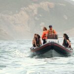 1.5-Hour Seal Viewing Boat Tour in Plettenberg Bay - Pricing and Value