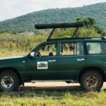 1 Day Akagera Game Drive Safari - Why This Tour Offers Great Value