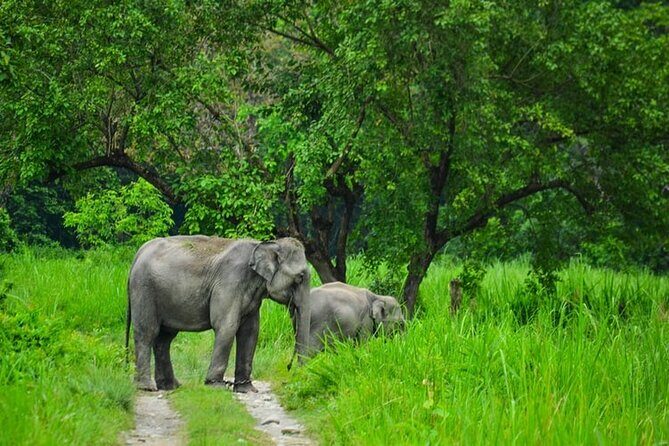1 Day Akagera Game Drive Safari - Who Will Love This Safari?