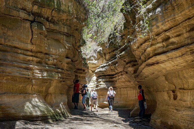 1 Day Bike Tour to Hells Gate And Lake Naivasha - Scenic Highlights and Wildlife Encounters