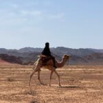 1 Day Camel tour with lunch - Exploring Wadi Rum