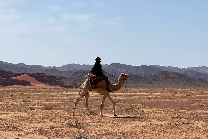 1 Day Camel tour with lunch - Exploring Wadi Rum