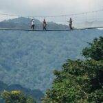 1 Day Canopy walk way in Nyungwe Natioinal park - The Experience Through Reviewers Eyes