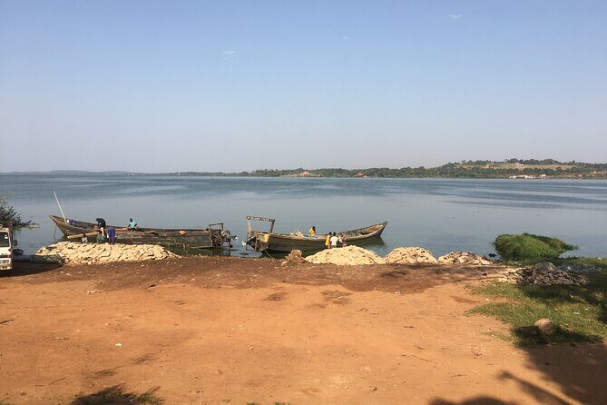 1 Day chimpanzee trekking at Ngamba Island - Introduction and Initial Impressions