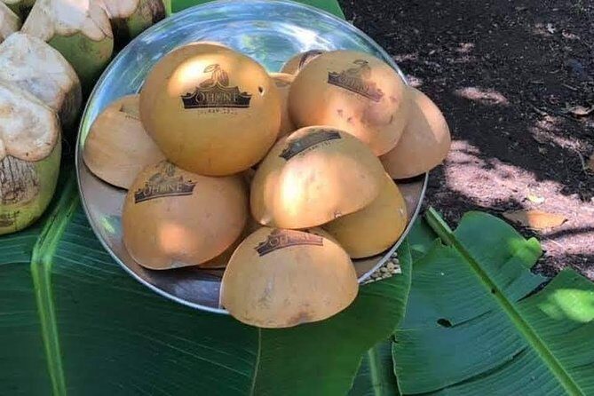 1 Day cocoa farm tour - Why This Tour Is Worth the Price