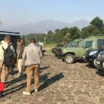 1 Day Gorilla Trekking Rwanda - Authentic Experiences and Reviews