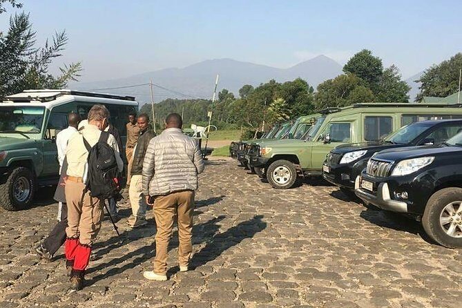 1 Day Gorilla Trekking Rwanda - Authentic Experiences and Reviews